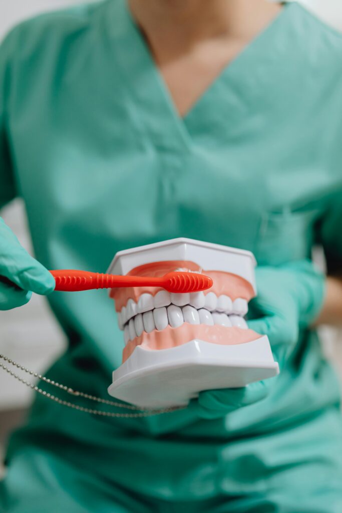 Dental Hygiene Apprentice holding model and toothbrush